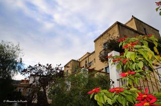 sa Cuseni-08-01-2016 07-49-22